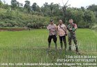 Bhabinkamtibmas-Kecamatan-Lelak-Pantau-dan-Dampingi-Petani-dalam-Program-Ketahanan-Pangan