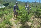 Dukung-Program-Ketahanan-Pangan,-Bhabinkamtibmas-Kecamatan-Ruteng-Sambang-Kelompok-Tani-di-Desa-Beo-Rahong
