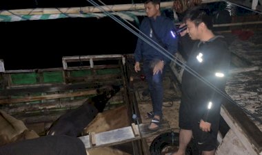 Keluarkan-Sapi-Bukan-Dari-Tempat-Yang-Legal,-Pria-Ini-Diamankan-Sat.-Reskrim-Polres-Manggarai