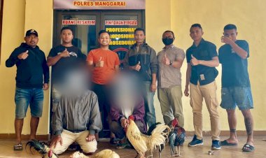 Penangkapan-Pelaku-Perjudian-Sabung-Ayam
