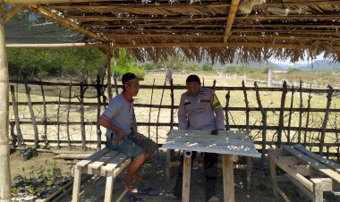 Aipda-Yustianus-Gorang,-Babinkamtibmas-Kecamatan-Reok-Gagas-Inisiatif-Penanaman-Pohon-Bakau-Merah-untuk-Lingkungan-Lebih-Hijau