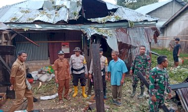 Bencana-Alam:-Pohon-Tumbang-Menimpa-Rumah-di-Kampung-Singkul,-Reok-Barat