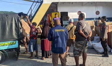 KP3-Laut-Pelabuhan-Reo-Amankan-Kedatangan-dan-Keberangkatan-Kapal-Penumpang-KM-Sabuk-Nusantara-55