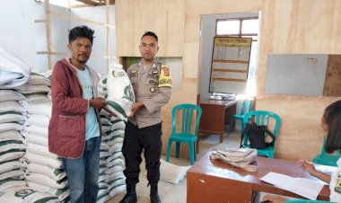 Bhabinkamtibmas-Kecamatan-Cibal-dan-Cibal-Barat:-Pengamanan-dan-Pendampingan-Pembagian-Beras-Bantuan