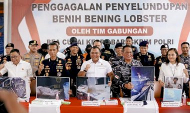 Bareskrim-Polri-:-Gagalkan-Penyelundupan-151-Ribu-Benih-Lobster-di-Perairan-Bintan
