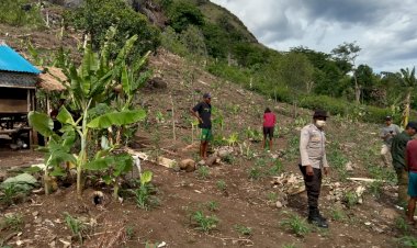 Bhabinkamtibmas-Satarmese-Barat-Pantau-Aktivitas-Petani-Jagung-dan-Sampaikan-Himbauan-Kamtibmas