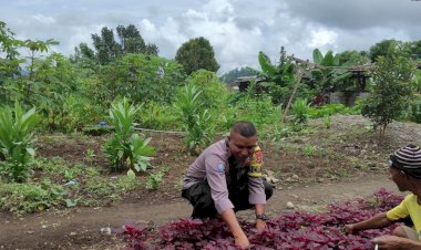 Bripka-Adrianus-G.-Suman-Bhabinkamtibmas-Wae-Ri'i-Dorong-Ketahanan-Pangan-dan-Sampaikan-Pesan-Kamtibmas