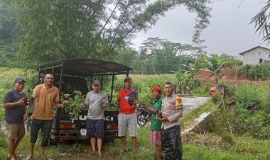 Bhabinkamtibmas-Kecamatan-Ruteng-Dampingi-Pembagian-Benih-Kopi-Arabika-di-Desa-Beo-Rahong