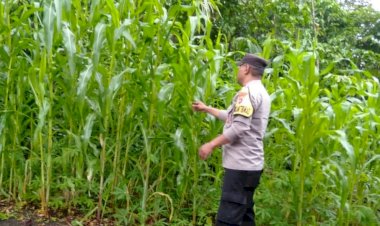 Bhabinkamtibmas-Desa-Nao-Dukung-Ketahanan-Pangan-melalui-Sambang-dan-Edukasi-Warga