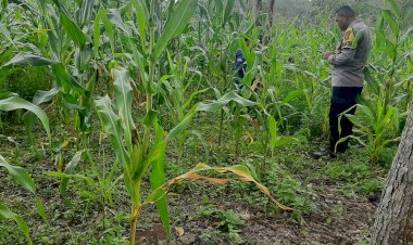 Bhabinkamtibmas-Desa-Nao-Dukung-Program-Ketahanan-Pangan-Melalui-Pendampingan-Petani