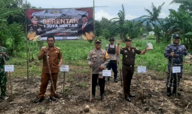 Dukung-Program-Ketahanan-Pangan-Nasional,-Polsek-Jajaran-Polres-Manggarai-Launching-Penanaman-Jagung-Serentak-1-Juta-Hektar.