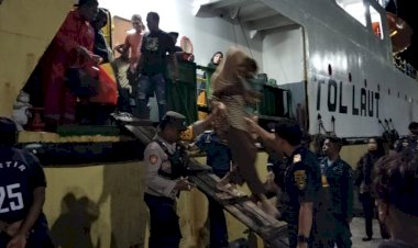 KP3-Laut-Pelabuhan-Reo-Amankan-Kedatangan-dan-Keberangkatan-Kapal-Penumpang-KM-Sabuk-Nusantara-55