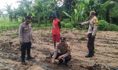 Kapolsek-Reo-Lakukan-Pengecekan-dan-Pengawasan-Lahan-Penanaman-Serentak