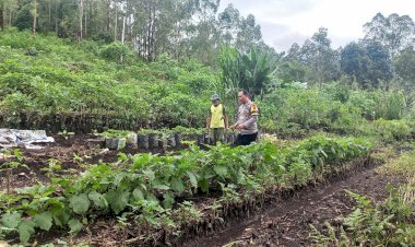 Dukung-Program-Ketahanan-Pangan,-Aipda-Flavianus-Jedaut-Lakukan-Pendampingan-Petani-Mandiri-di-Langke-Rembong