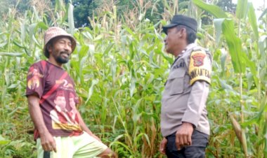 Bhabinkamtibmas-Kecamatan-Reok-Dampingi-Petani-dalam-Program-Ketahanan-Pangan