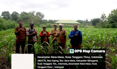 Bripka-Stanislaus-K.-Tandi-Dampingi-Petani-dalam-Program-Ketahanan-Pangan-di-Kecamatan-Reok-Barat.