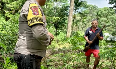 Bhabinkamtibmas-Kecamatan-Cibal-Memantau-Program-Ketahanan-Pangan-Tanaman-Porang-di-Desa-Langkas
