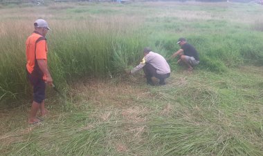 Bripka-Semris-Bell-dan-Warga-Reok-Barat-Gelar-Kerja-Bakti-Bersihkan-Lapangan-Sepak-Bola-Wontong