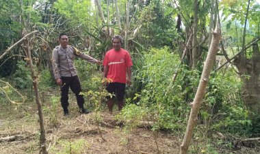 Bhabinkamtibmas-Kelurahan-Baru-Dukung-Program-Pangan-Pekarangan-Bergizi-di-Desa-Salama