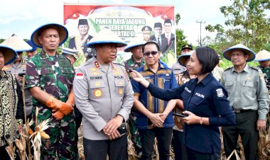 Kapolda-NTT-Pimpin-Panen-Raya-Jagung-Serentak,-Dorong-NTT-Jadi-Lumbung-Pangan-Nasional