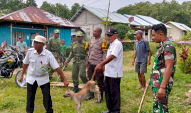 Bhabinkamtibmas-Reok-Barat-dan-Babinsa-Kawal-Giat-Eliminasi-HPR-di-Desa-To’e,-Kabupaten-Manggarai