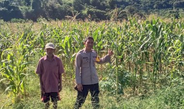 Bhabinkamtibmas-Dukung-Ketahanan-Pangan-Melalui-Monitoring-Dan-Pendampingan-Poktan-Di-Desa-Salama