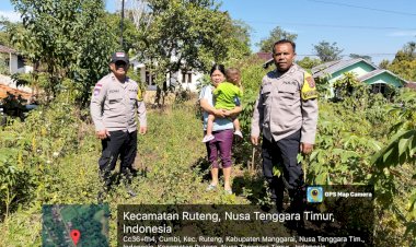 Bhabinkamtibmas-Kec.-Ruteng-Pantau-Persiapan-Lahan-untuk-Program-Penanaman-Jagung-Serentak-Kapolda-NTT
