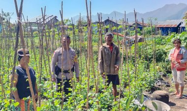 Dukung-Program-Ketahanan-Pangan,-Bhabinkamtibmas-Langke-Rembong-Sambangi-Petani-Sayur