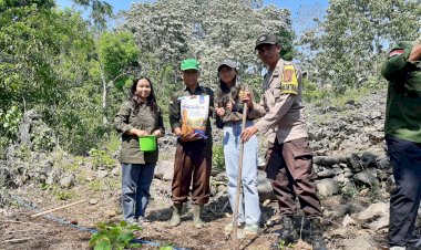 Bhabinkamtibmas-Aipda-Ridwan-Nelson-Lubalu-Dorong-Petani-Jagung-Tingkatkan-Produktivitas-di-Rahong-Utara