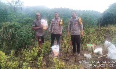 Bhabinkamtibmas-dan-Kanit-Binmas-Polsek-Reo-Lakukan-Pengawasan-Penanaman-Jagung-Hibrida-di-Desa-Ruis