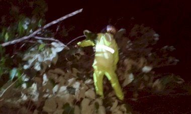 Langkah--cepat-dan-Sigap!--Bhabinkamtibmas-Polsek-Reo-Bersihkan-Dahan-Pohon-Tumbang-yang-Tutupi-Jalan-Trans-Reo-Ruteng