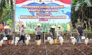 **Dukung-Asta-Cita-Presiden-RI,-Polda-NTT-Perluas-Akselerasi-Swasembada-Pangan:-Targetkan-10.000-Hektar-Lahan-dan-Produktivitas-5-Ton-per-Hektar**