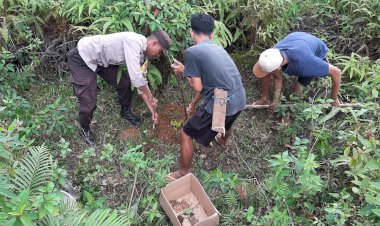 Bhabinkamtibmas-Desa-Tengku-Lese-Hadiri-Penanaman-Anakan-Cengkeh-Bersama-Pemerintah-Desa-dan-Warga,-Perkuat-Sinergi-Kamtibmas-serta-Kepedulian-Lingkungan