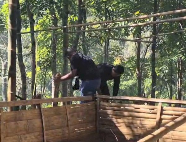 TIM BUSER POLRES MANGGARAI BONGKAR ARENA PERJUDIAN SABUNG AYAM DI KILO LIMA GOLOCURU