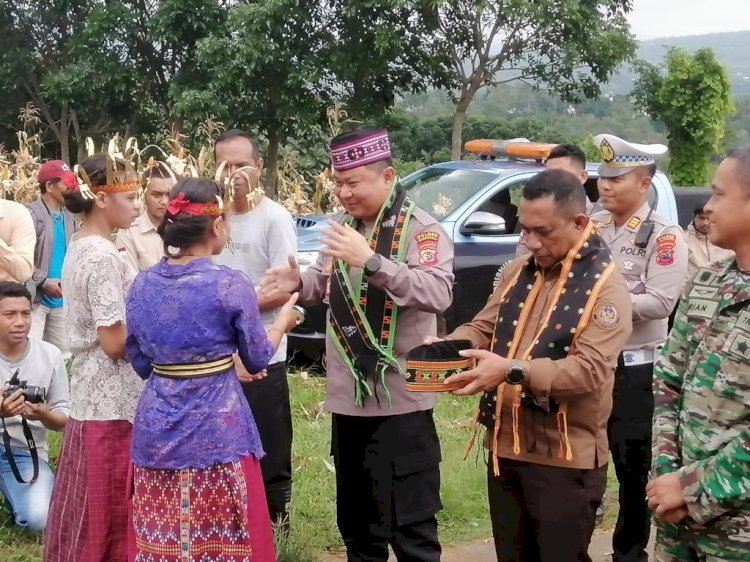 Panen dan Penanaman Jagung Dalam Rangka Pemanfaatan Lahan Tidur dan Pertahanan Pangan di Kabupaten Manggarai .