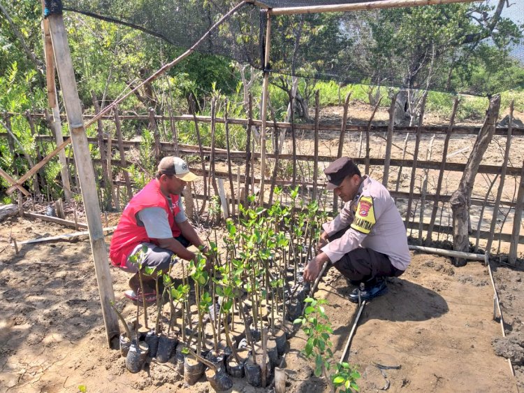 Polsek Reo, Polres Manggarai, Siapkan Lokasi Tanam Pohon dalam Rangka HUT Humas Polri ke-72