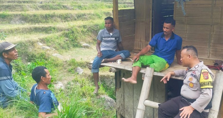Petugas Bhabinkamtibmas Kawal Panen Padi di Desa Riung, Manggarai