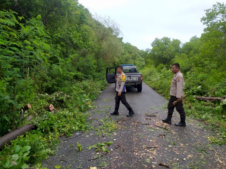Respon Cepat Polsek Reo Bersihkan Pohon Tumbang di Jalan Utama Wangkung - Robek