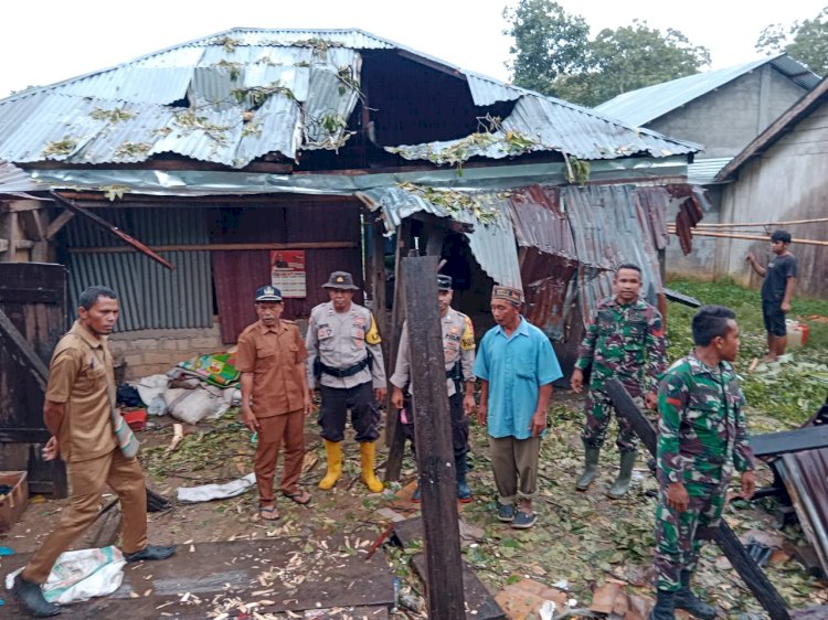 Bencana Alam: Pohon Tumbang Menimpa Rumah di Kampung Singkul, Reok Barat