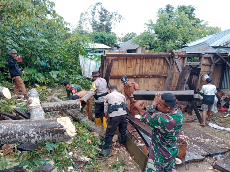 Bencana Alam: Pohon Tumbang Menimpa Rumah di Kampung Singkul, Reok Barat