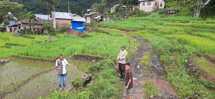 Bhabinkamtibmas Bersama Masyarakat Bersihkan Lokasi Bencana Tanah Longsor di Desa Bea Mese.