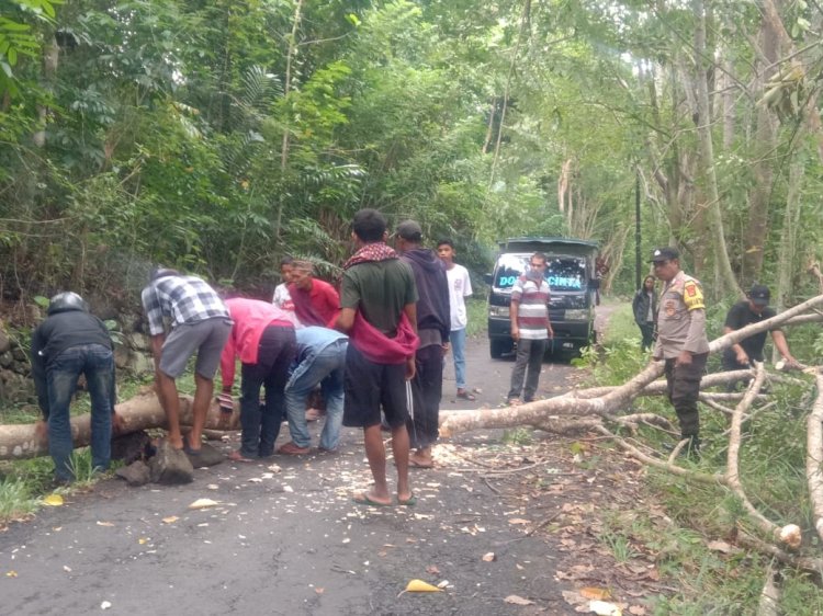 Babinkamtibmas Kecamatan Satarmese Barat bersama warga bersihkan pohon tumbang pastikan akses jalan lancar.