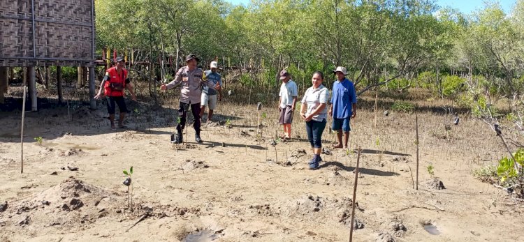 Bhabinkamtibmas Kelurahan Baru berpartisipasi aktif dalam Kerja Bakti Penyulaman Mangrove di Pantai Nanga Banda