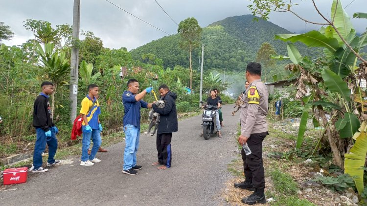 Babinkamtibmas Kec. Langke Rembong Dampingi Tim Vaksinasi Ternak HPR dari Dinas Peternakan