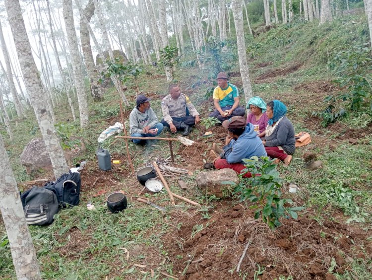 Upaya Pendekatan Diri ke Masyarakat, Bhabinkamtibmas Kec. Satar Mese Sambang Petani Kopi