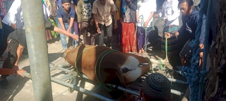 Sholat Idul Adha 1445 H/2024 di Masjid Agung Baiturrahman Ruteng, Polres Manggarai Terjunkan Personil Pengamanan