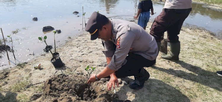 Kegiatan Bakti Lingkungan Penanaman Mangrove Dalam Rangka Hari Bhayangkara Ke-78 Tahun 2024 di Manggarai