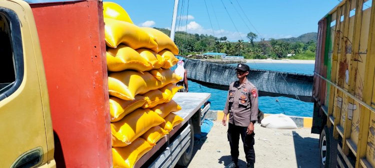 KP3 Laut Pelabuhan Reo Laksanakan Pengamanan Aktivitas Bongkar Muat di Pelabuhan Laut Kelas II Reo