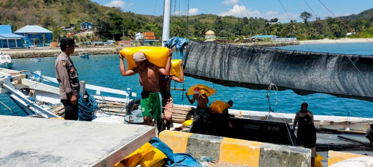 KP3 Laut Pelabuhan Reo Laksanakan Pengamanan Aktivitas Bongkar Muat di Pelabuhan Laut Kelas II Reo