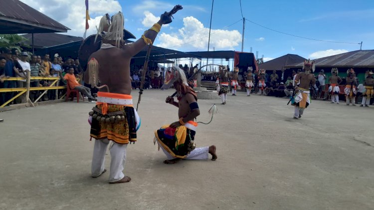 Sinergitas Bhabinkamtibmas dan Babinsa lakukan Pengamanan Adat Penti Weki Peso Beo di Rahong Utara